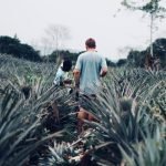 The Ultimate Guide to Booking Tours with Local Experts in Africa