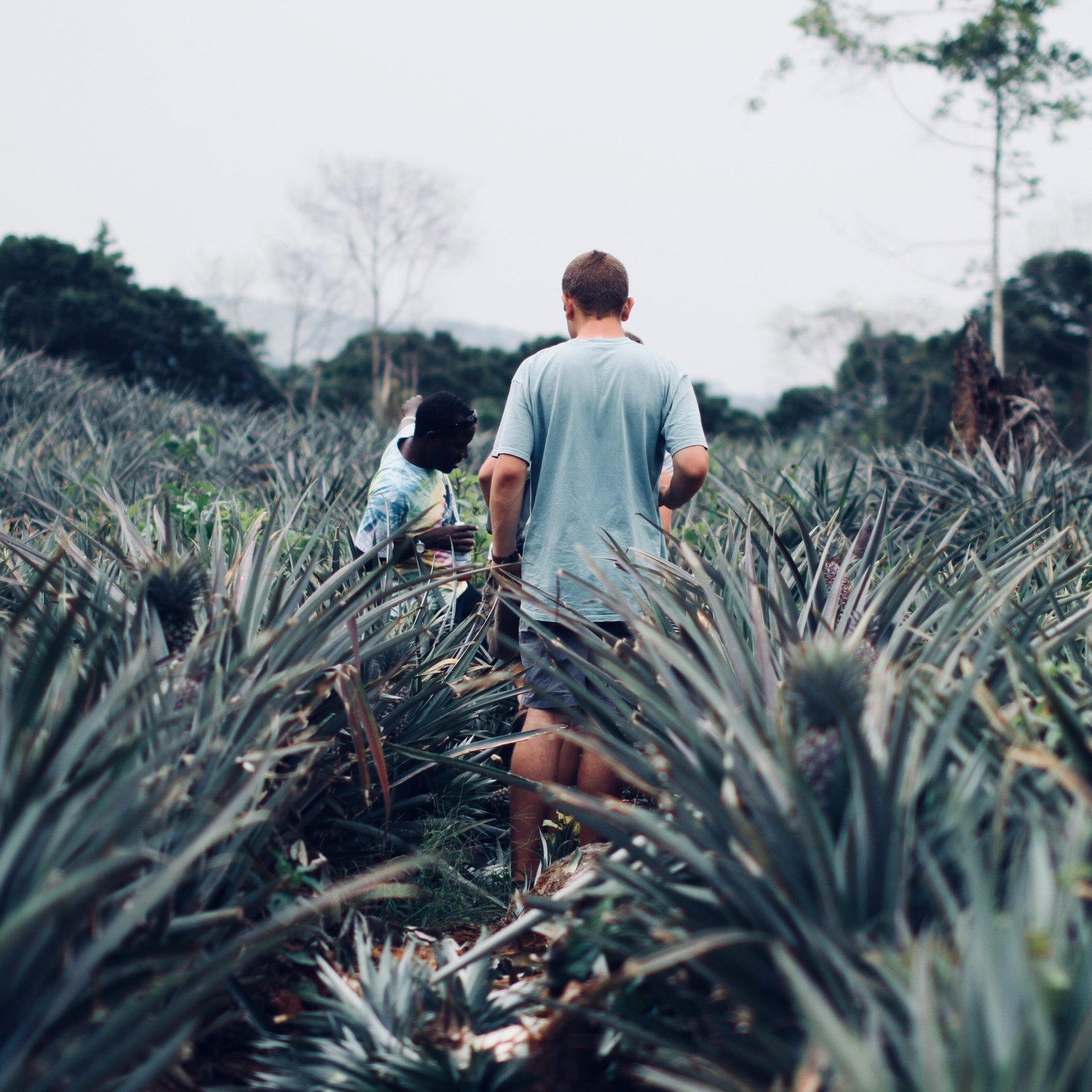 The Ultimate Guide to Booking Tours with Local Experts in Africa