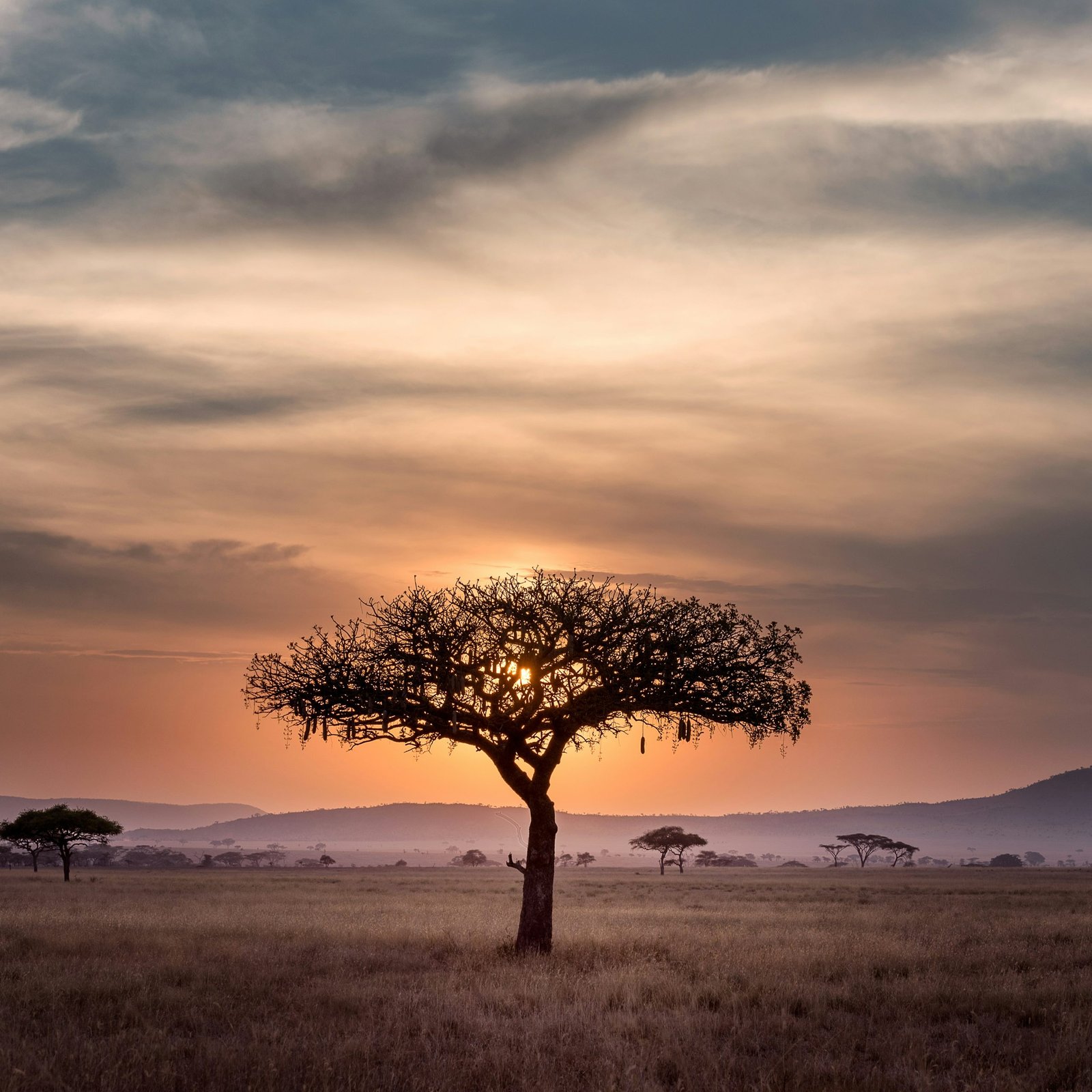 How to Travel Sustainably in Africa and Support Local Communities